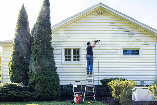Best Driveway Pressure Washing  in Kingsville, TX